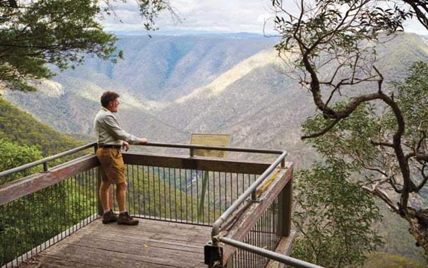 Chandler View Circuit Walk, Hillgrove, NSW