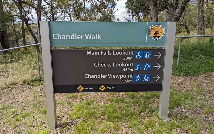 Chandler Walking Track, Hillgrove, NSW