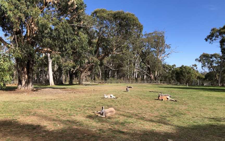 Cleland Conservation Park, Cleland, SA