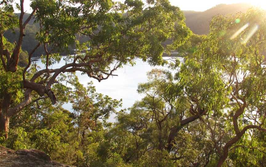 Coba Ridge to Collingridge Point walking track, Fiddletown, NSW