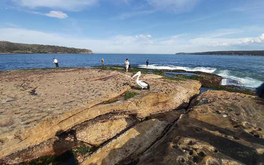 Congwong Beach, La Perouse, NSW