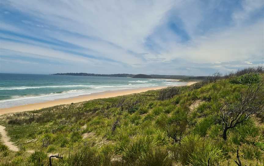 Conjola Beach picnic area, Lake Conjola, NSW