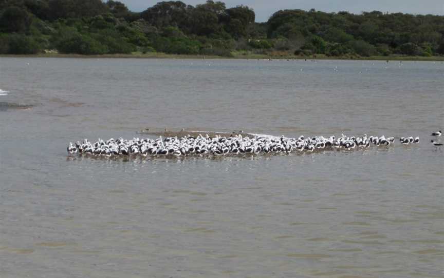 Coorong National Park, Coorong, SA