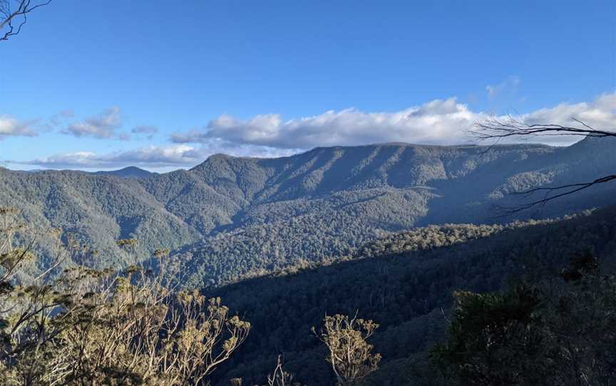 Corker trail, Upper Allyn, NSW