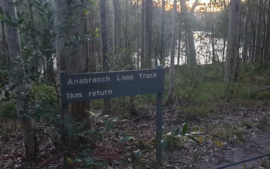 Corramy Regional Park, Basin View, NSW