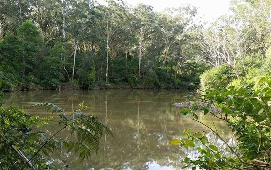 Cottonwood Glen picnic area, Macquarie Park, NSW