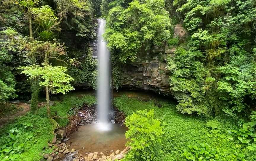 Crystal Shower Falls Walk, Dorrigo Mountain, NSW