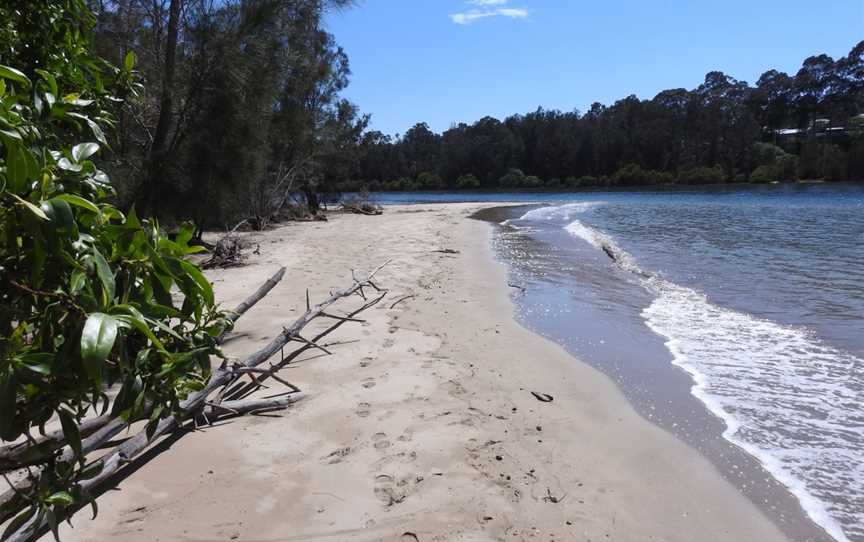 Cullendulla Creek Nature Reserve, Surfside, NSW