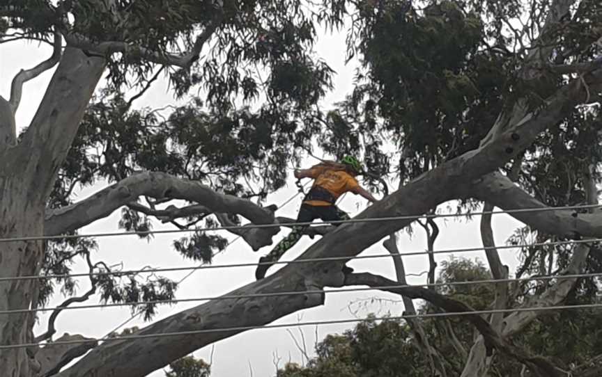 Davidson Reserve, Kapunda, SA