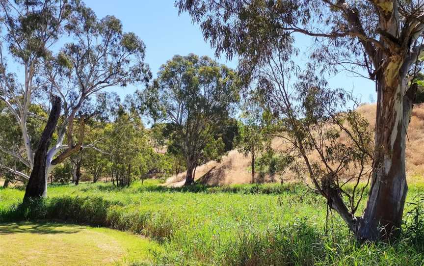 Dead Mans Pass Reserve, Gawler East, SA