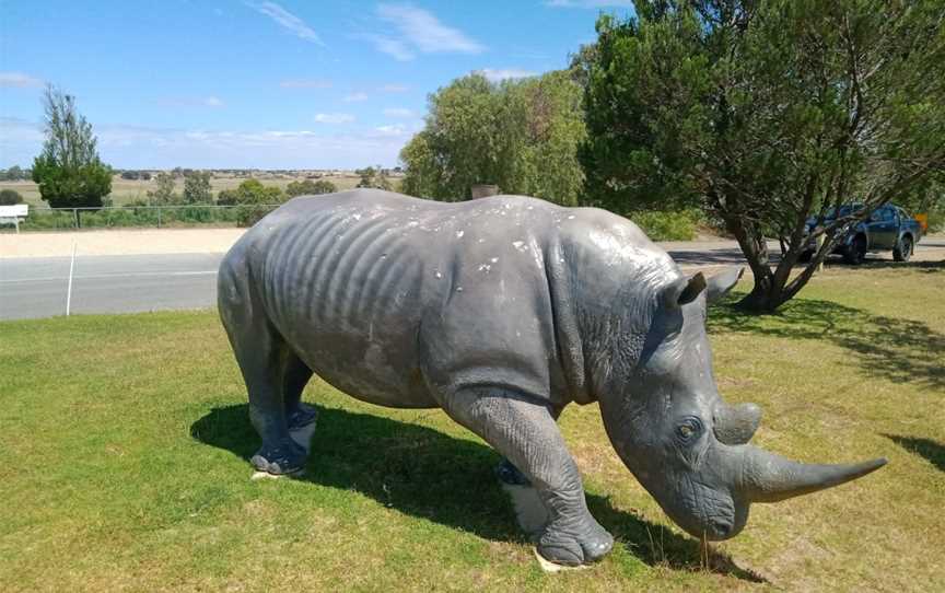 Dickson Reserve, Tailem Bend, SA