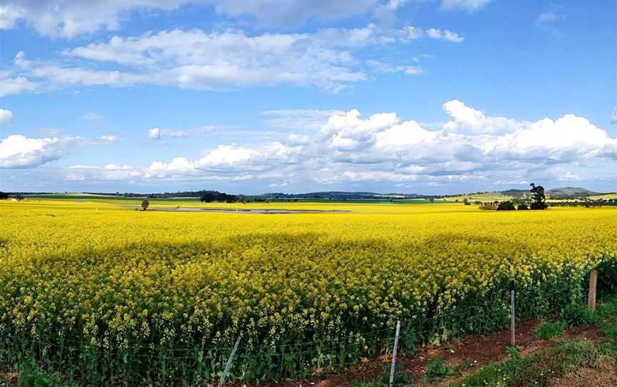 Dookie Rail Trail, Dookie, VIC