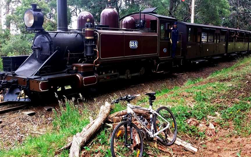 Eastern Dandenong Ranges Trail, Gembrook, VIC