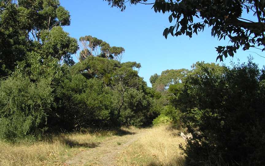 Edwards Point State Faunal Reserve, St Leonards, VIC