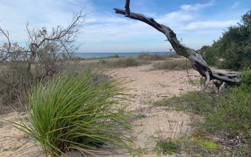 Edwards Point State Faunal Reserve, St Leonards, VIC