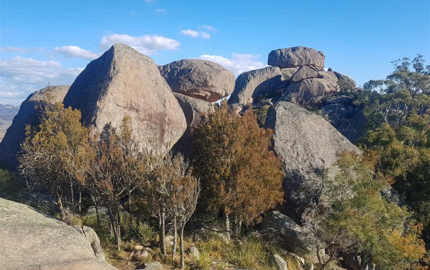 Evans Crown Nature Reserve, Tarana, NSW