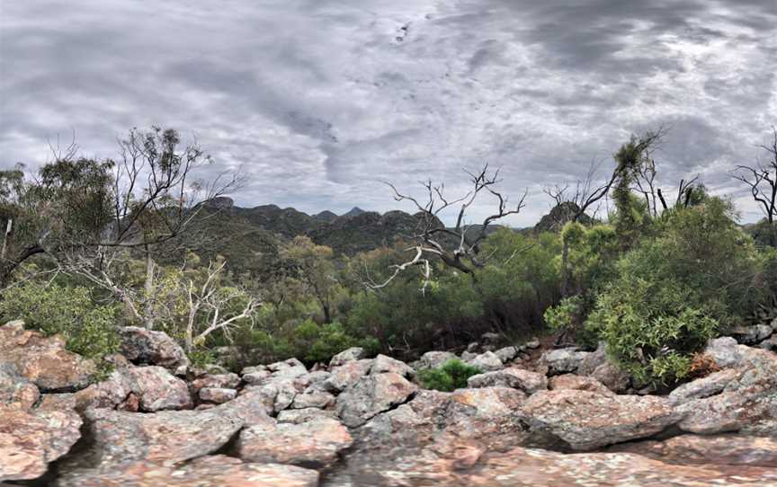 Febar Tor, Tonderburine, NSW