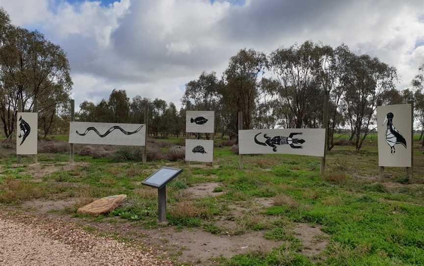 Fivebough Wetlands, Leeton, NSW