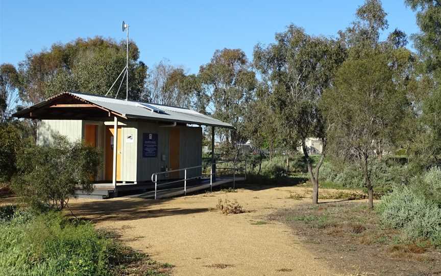 Fivebough Wetlands, Leeton, NSW