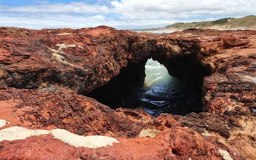 Forrest Caves, Nature & Trails in Newhaven