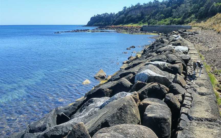 Fossil Beach, Mornington, VIC