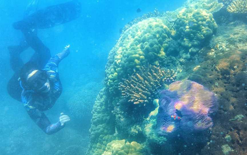 Frankland Islands Dive Site, East Russell, QLD