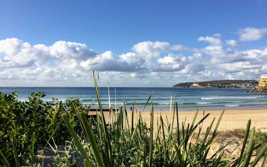 Freshwater Beach, Freshwater, NSW