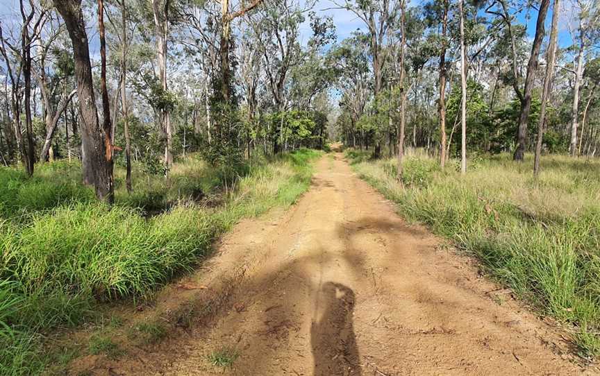 Gatton National Park, Gatton, QLD