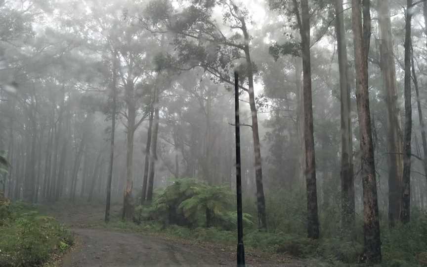 Goanna Walking Track, Koondrook, VIC