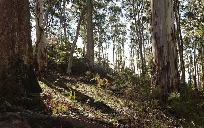 Golden Mountain Walking Track, Strathbogie, VIC