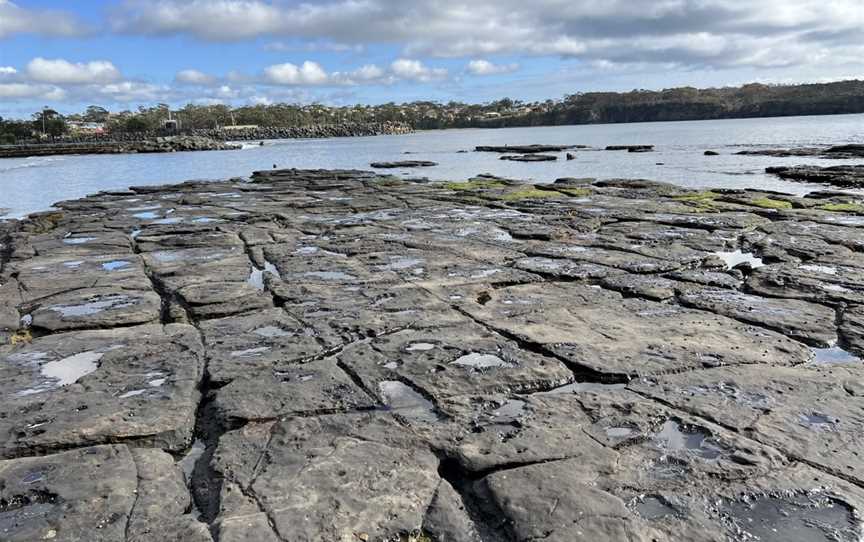 Gondwana Coast Fossil Walk, Ulladulla, NSW