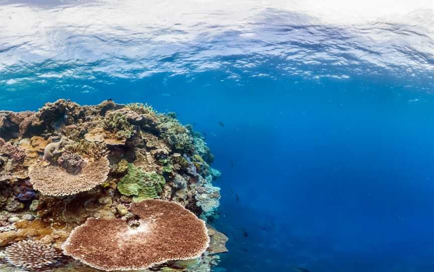 Great Detached Reef, Lockhart River, QLD