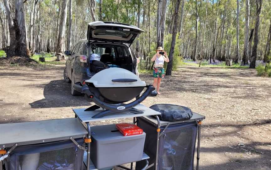 Gunbower Island Canoe Trail, Koondrook, VIC