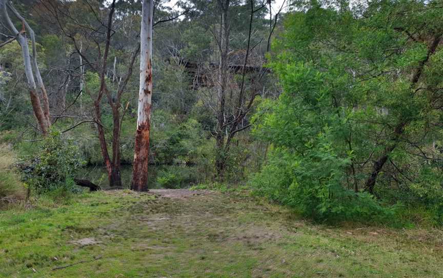 Halfway Point picnic area, Lindfield, NSW