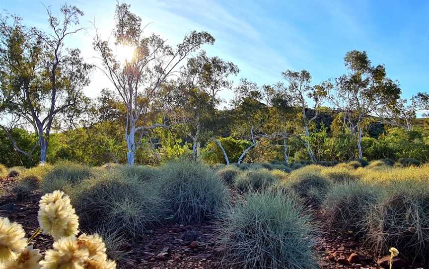 Hamersley Range, Hamersley Range, WA