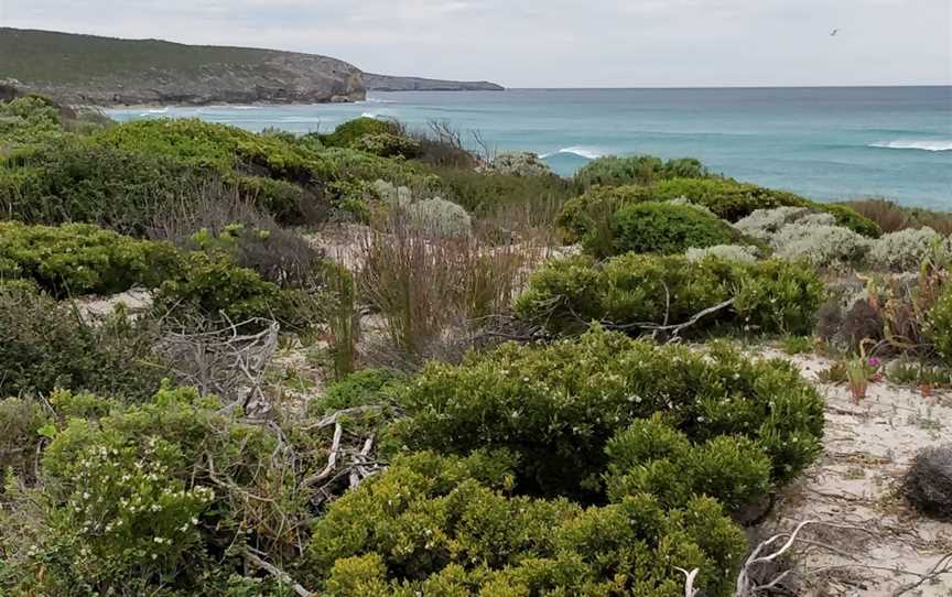 Hanson Bay Beach, Karatta, SA