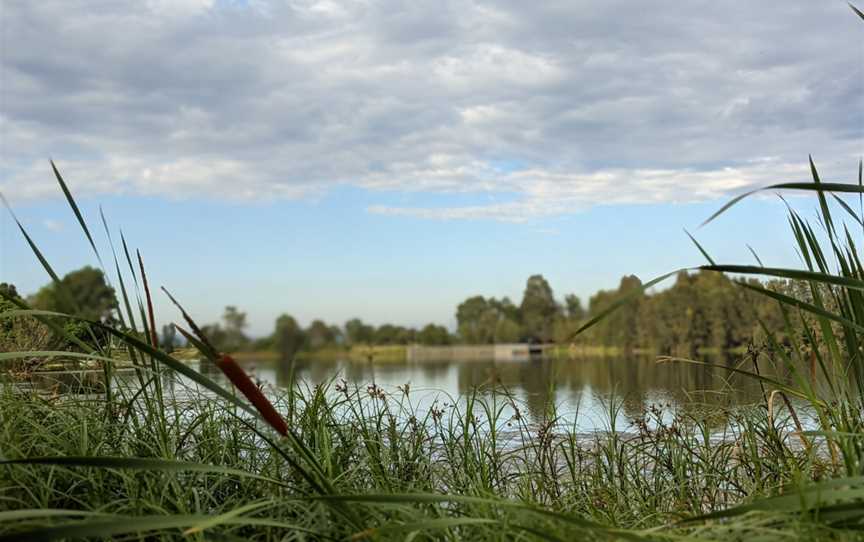 Harrington Park Lakes, Harrington Park, NSW