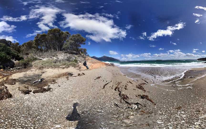 Hazards Beach, Freycinet, TAS