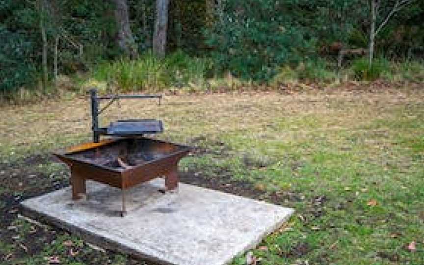 Honeysuckle picnic area, Barrington Tops, NSW