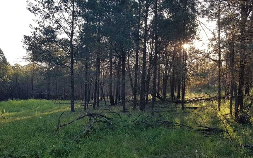 Jacks Creek picnic area, Yenda, NSW