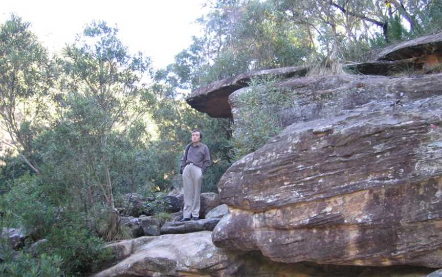 Jellybean Track, Glenbrook, NSW