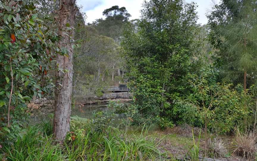 Jenkins Hill picnic area, Lindfield, NSW