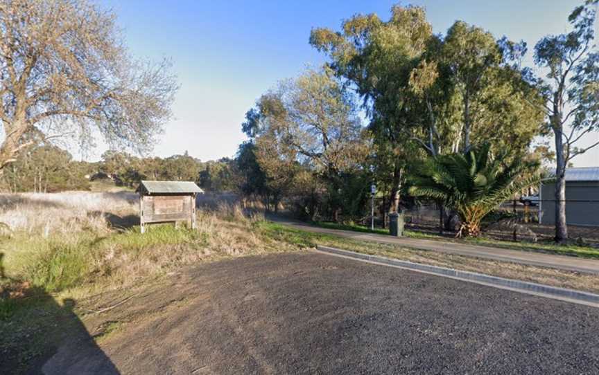 Junee Urban Wetland, Junee, NSW