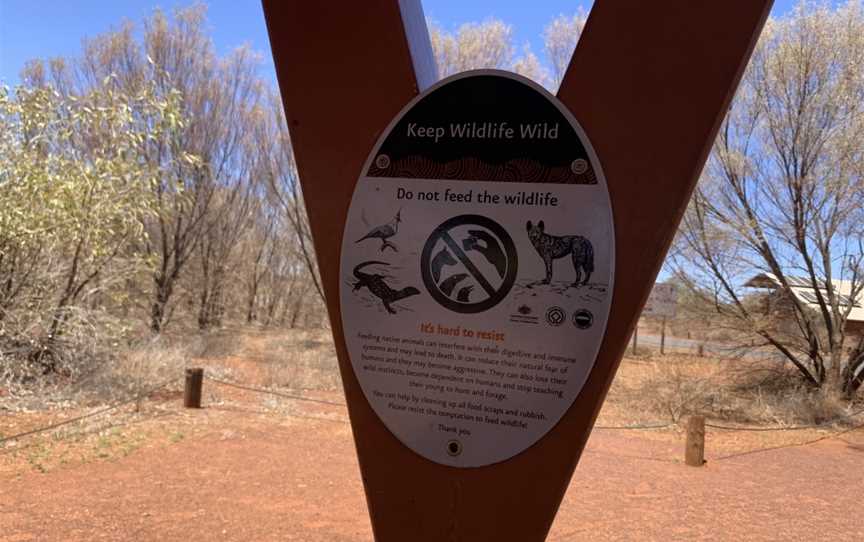 Kata Tjuta The Olgas, Petermann, NT