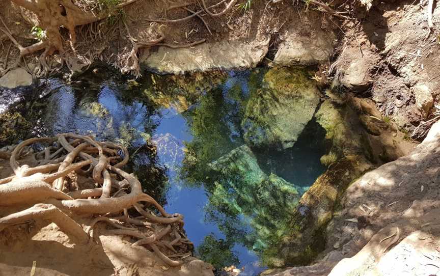 Katherine Hot Springs, Katherine South, NT