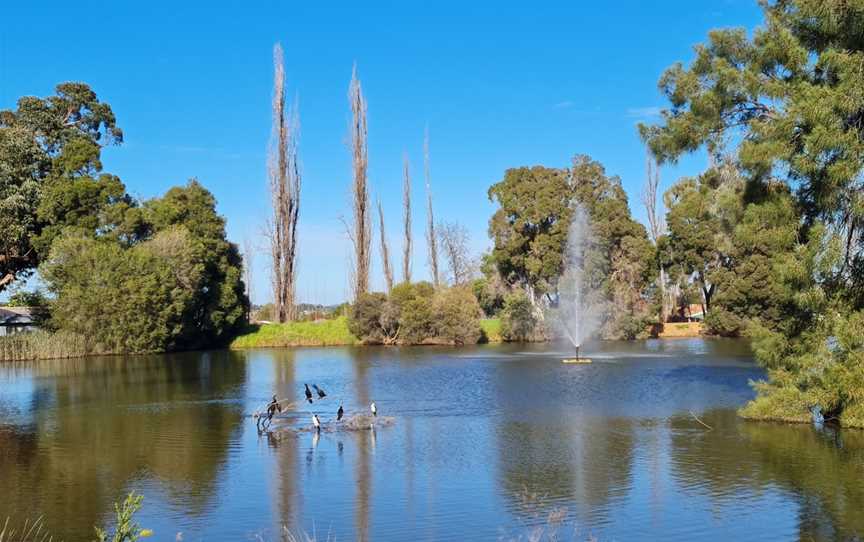 Kelly Reserve, Parkes, NSW