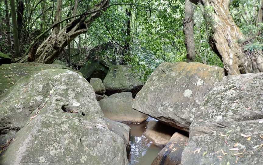 Kellys Falls picnic area, Stanwell Tops, NSW