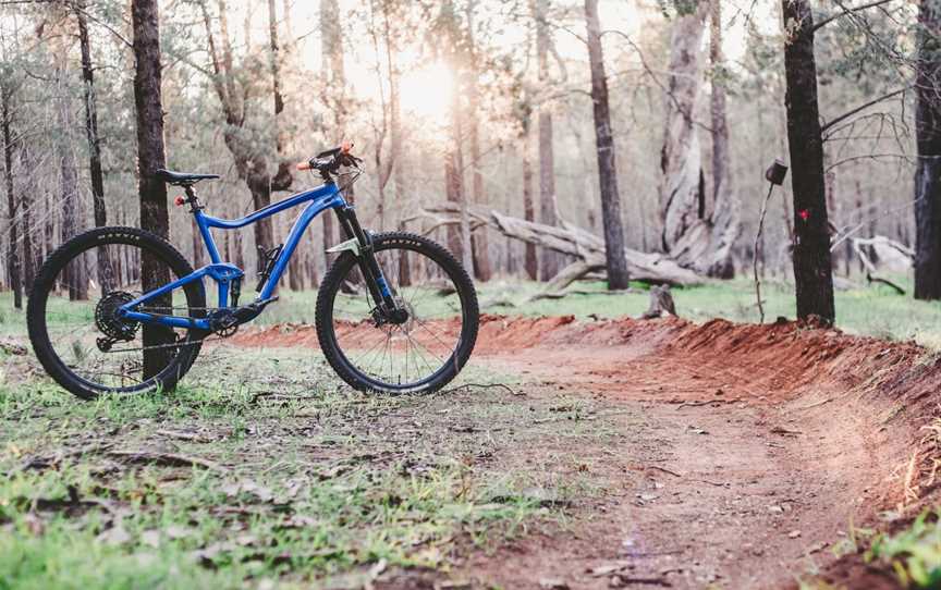 Kindra State Forest, Coolamon, NSW