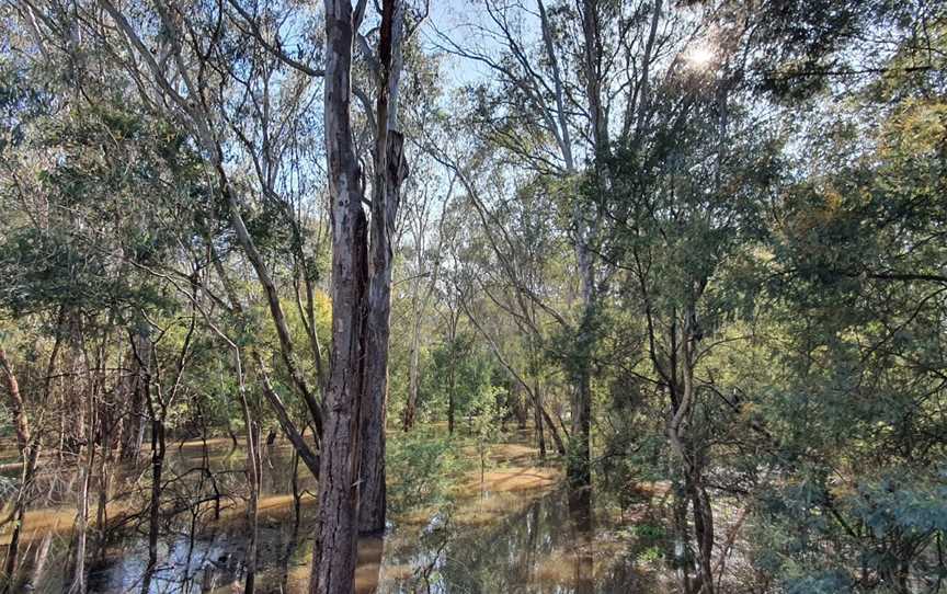 King River, King Valley, VIC