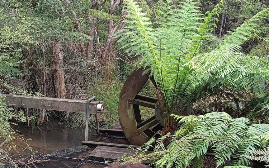 Kurth Kiln Regional Park, Gembrook, VIC